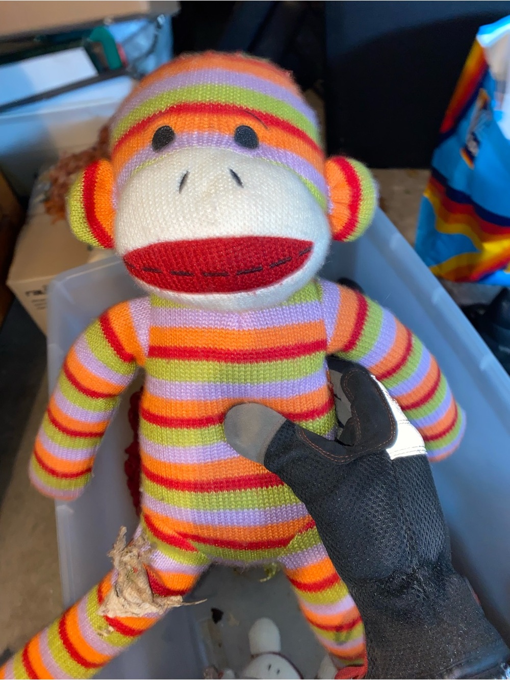 Colorful sock monkey Dandee collectors choice 2009